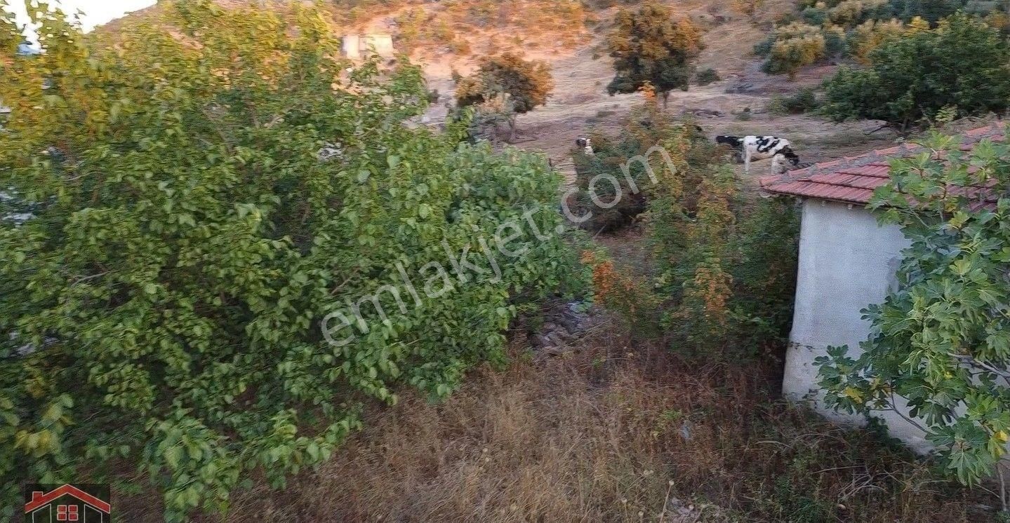 İlan Fotoğrafı