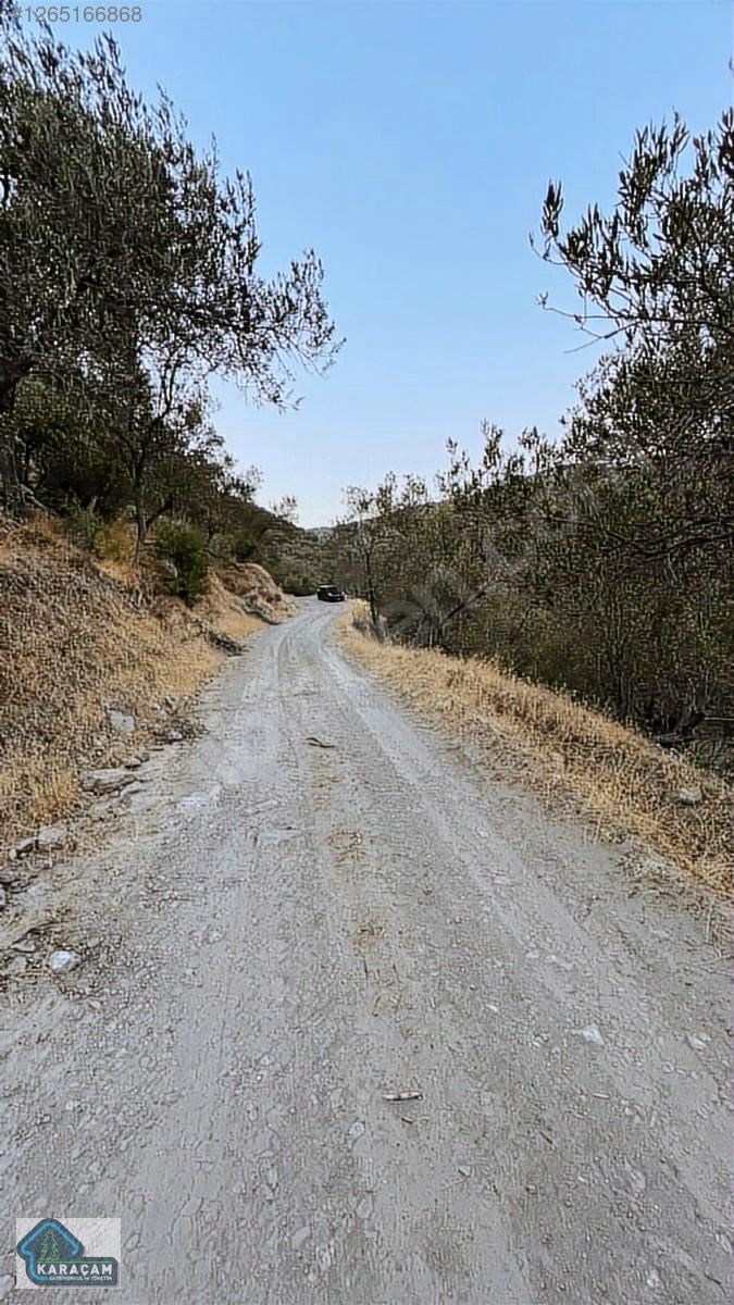 İlan Fotoğrafı