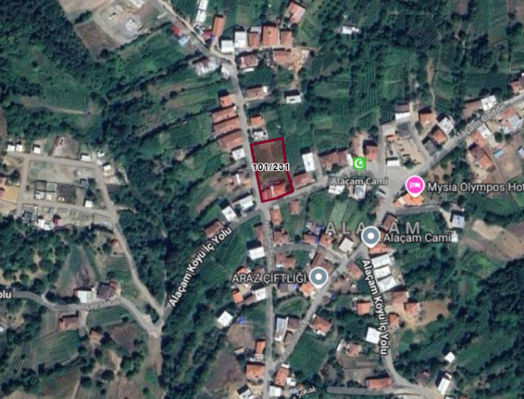 Fotoğraf