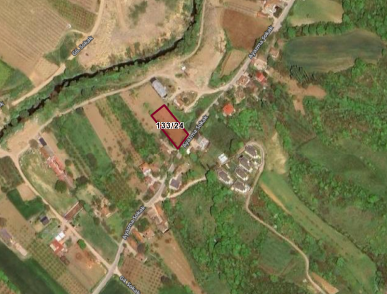 Fotoğraf