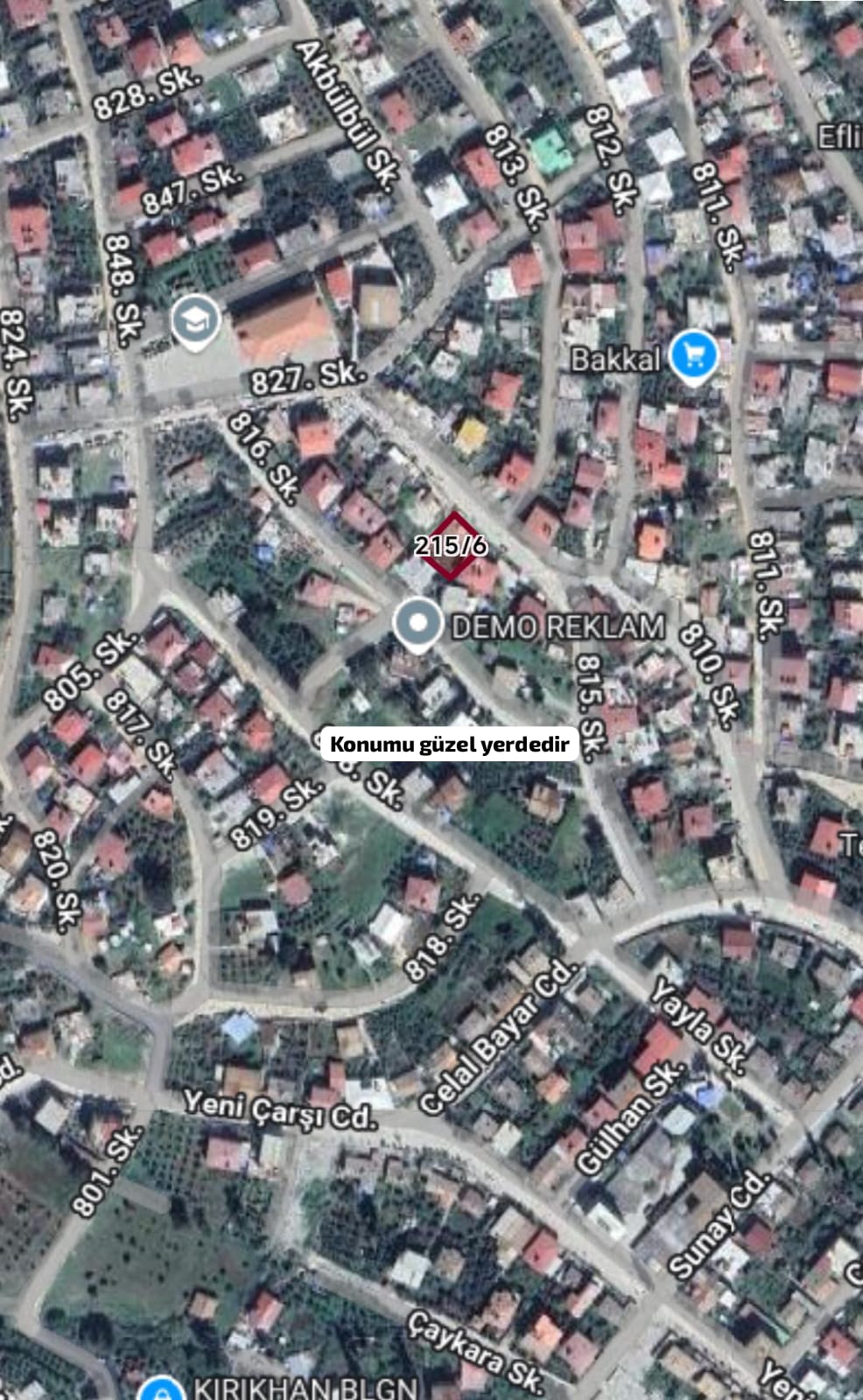 Fotoğraf