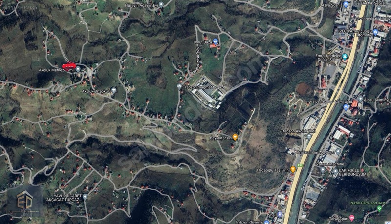 Fotoğraf