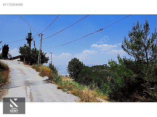 Fotoğraf