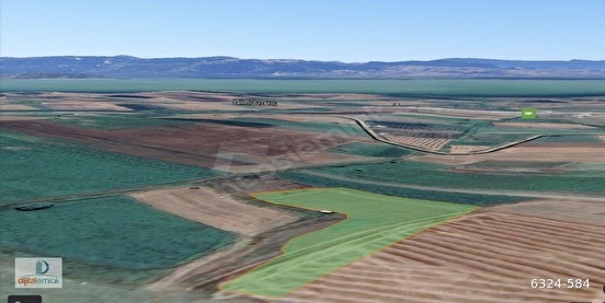 Fotoğraf