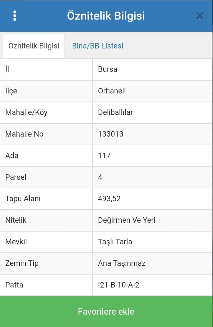 Fotoğraf