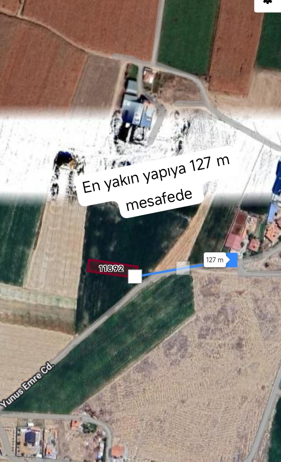 Fotoğraf