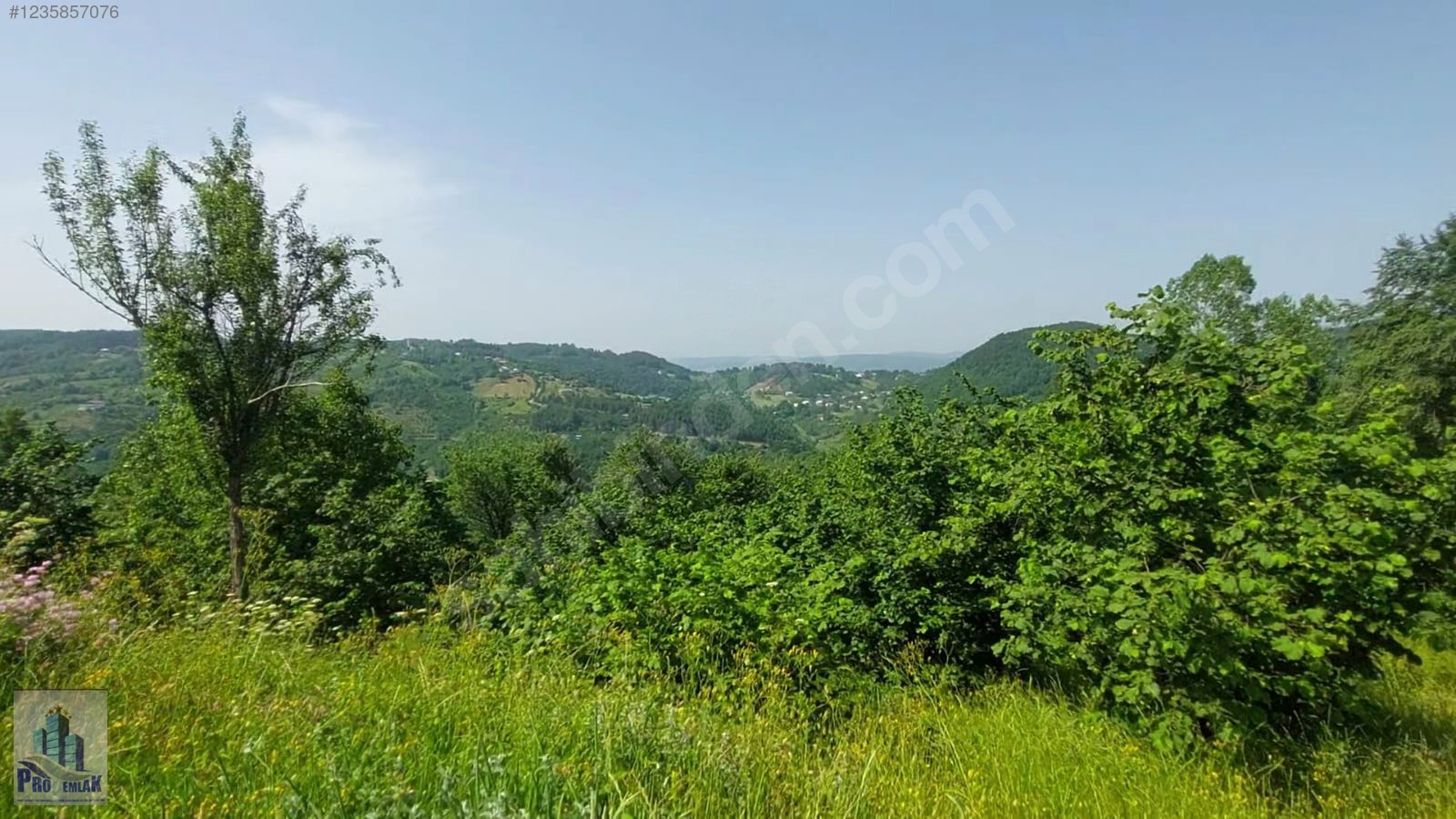 İlan Fotoğrafı