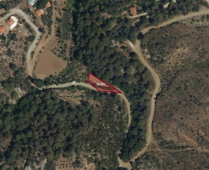 İlan Fotoğrafı