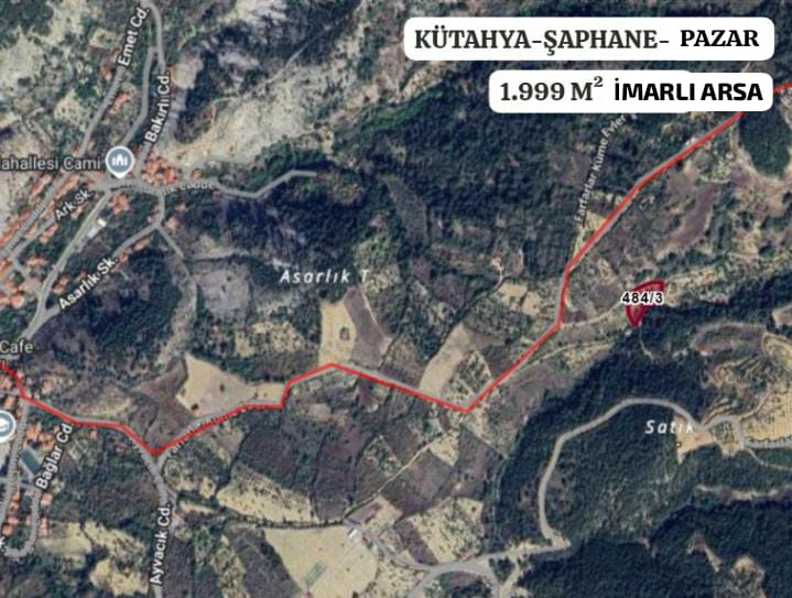 Fotoğraf