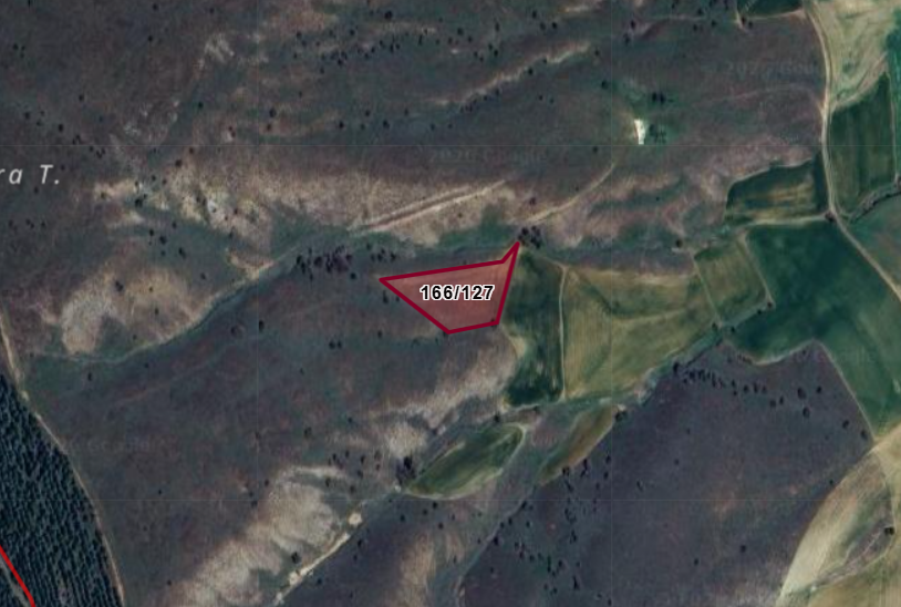 BİLECİK SÖĞÜT  OLUKLU  KÖYÜNDE  2.498  M²  TARLA  SATILIKTIR
