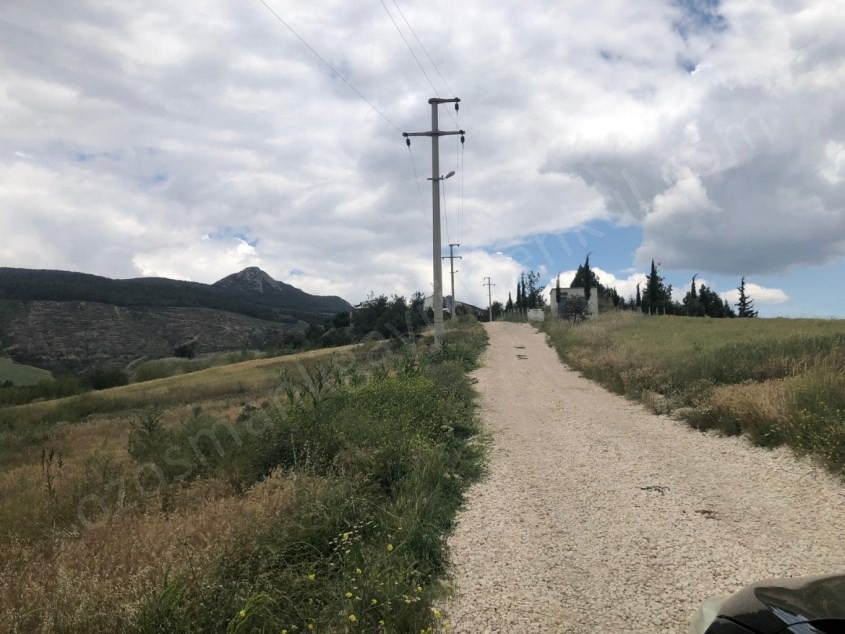 Fotoğraf