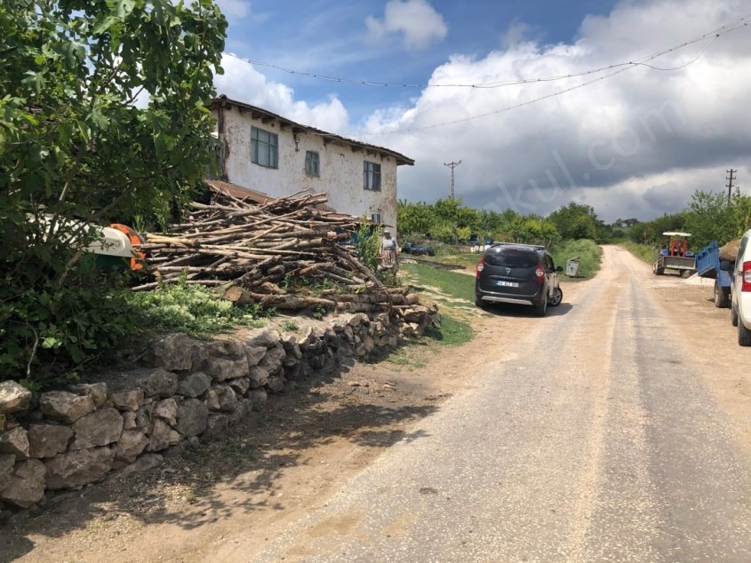 Fotoğraf