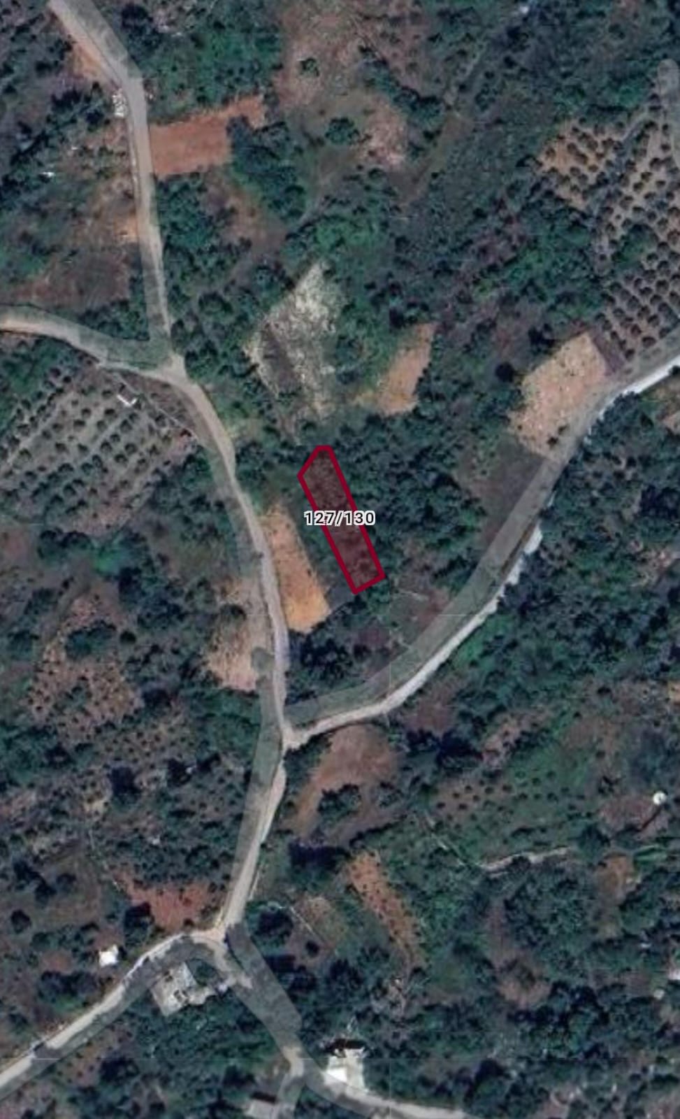 Fotoğraf