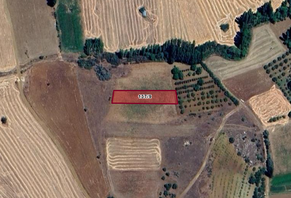 KONYA GÜNEYSINIR MEHMETALİ  KÖYÜNDE 1.296 M²  TARLA  SATILIKTIR