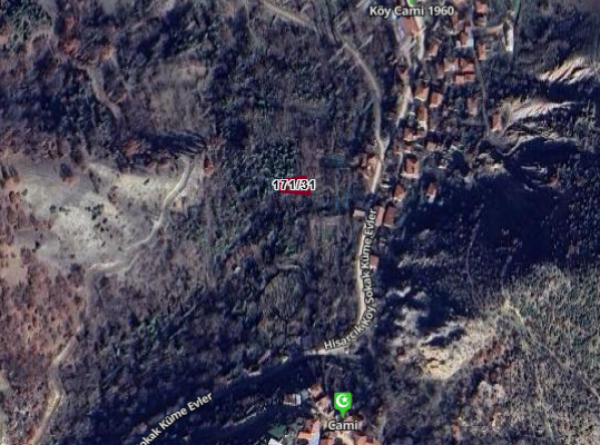 Fotoğraf