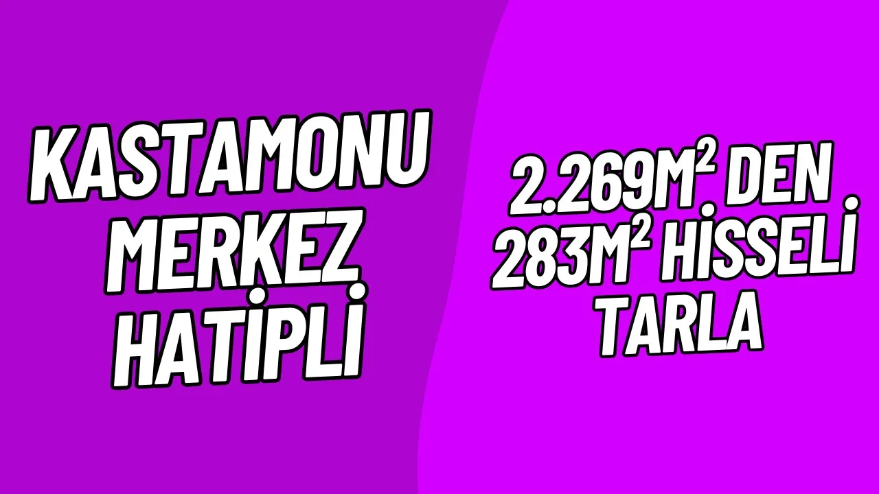 Fotoğraf
