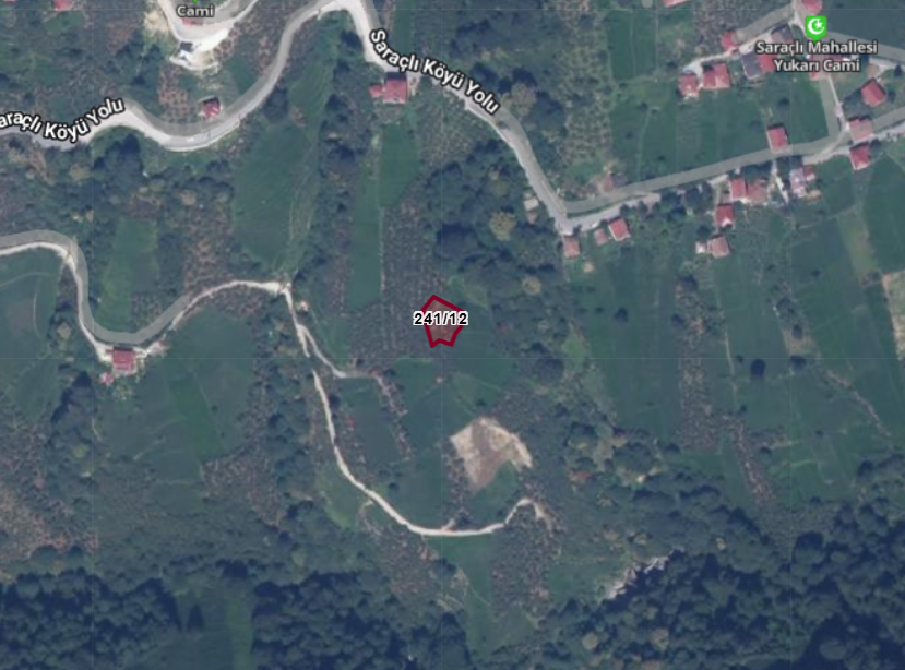 TRABZON OF SARAÇLI   KÖYÜNDE  560 M²  ÇAY BAHÇESİ  SATILIKTIR