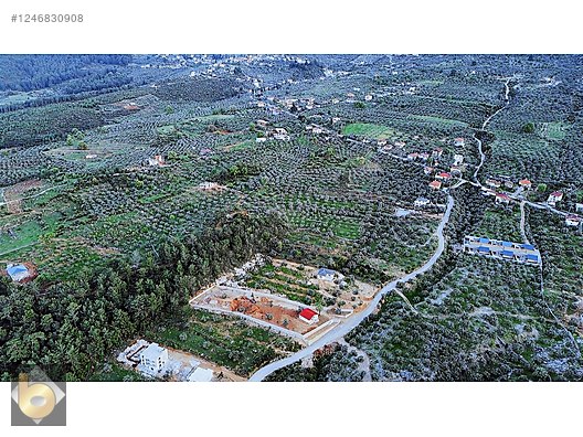 İlan Fotoğrafı