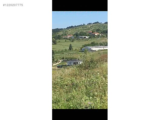 Fotoğraf