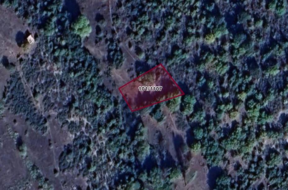 KÜTAHYA DOMANİÇ SARIOT  KÖYÜNDE 548 M²  TARLA SATILIKTIR