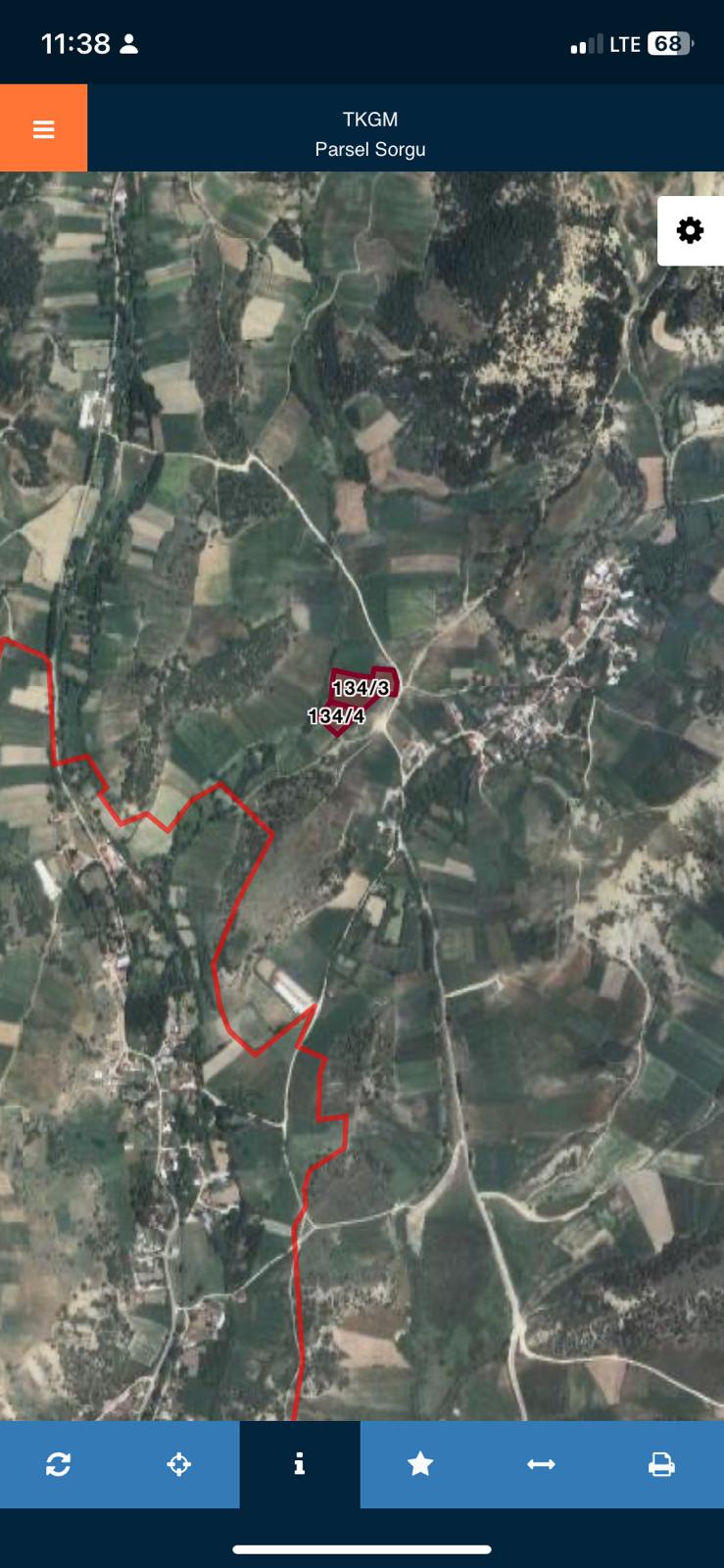 Fotoğraf