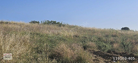 Fotoğraf
