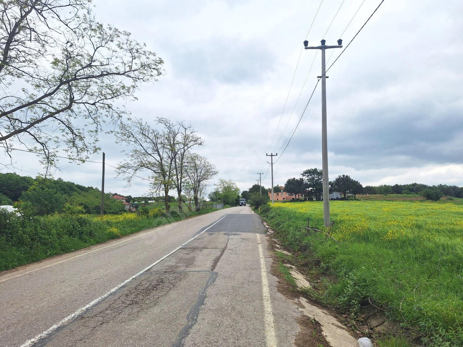 Fotoğraf