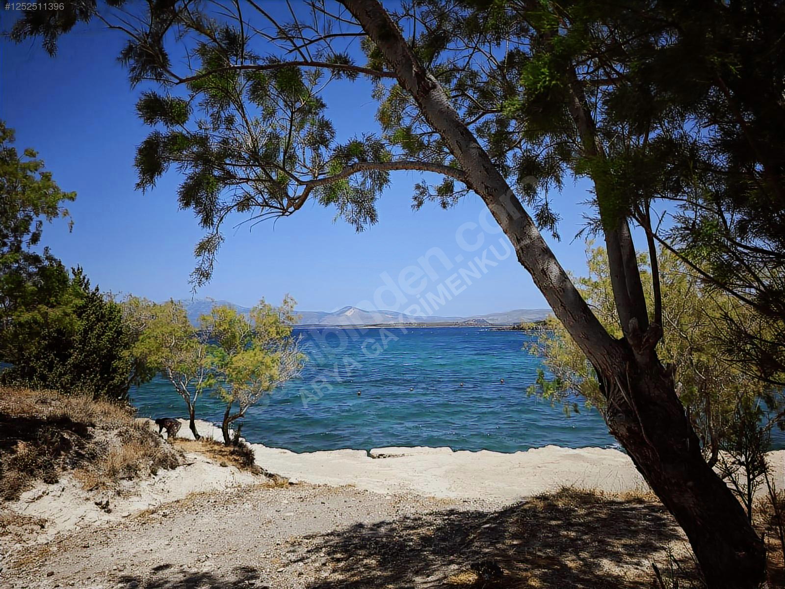 İlan Fotoğrafı