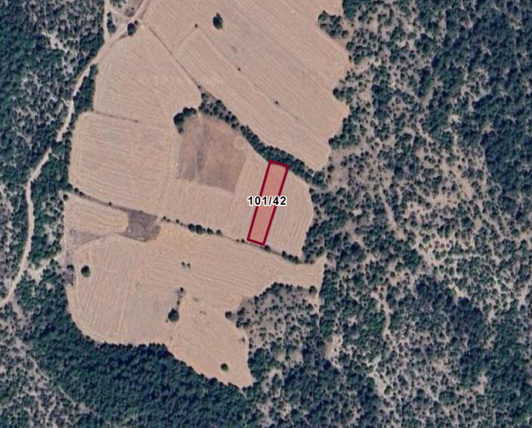 KÜTAHYA ÇAVDARHİSAR EFELER  KÖYÜNDE  1.675  M²  TARLA  SATILIKTIR