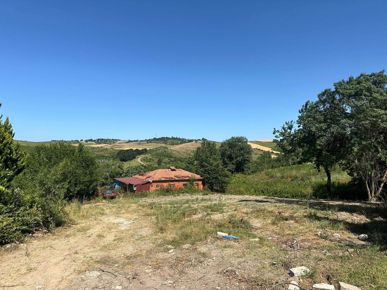 Fotoğraf