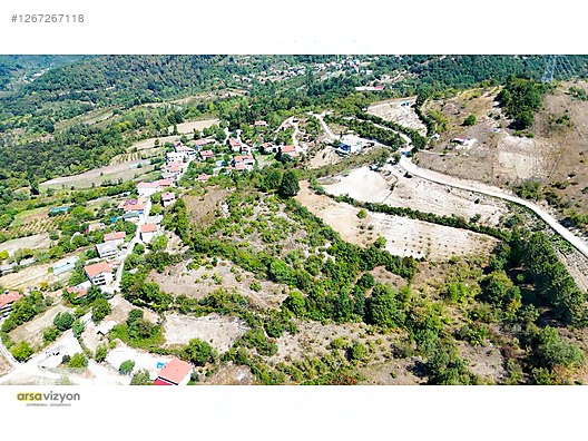Fotoğraf