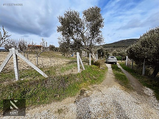Kemalpaşa Gökyaka Satılık 2700 m2 Bahçe