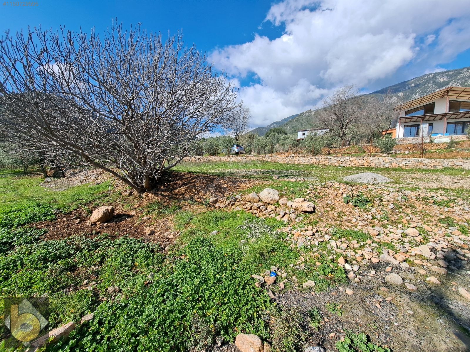 İlan Fotoğrafı