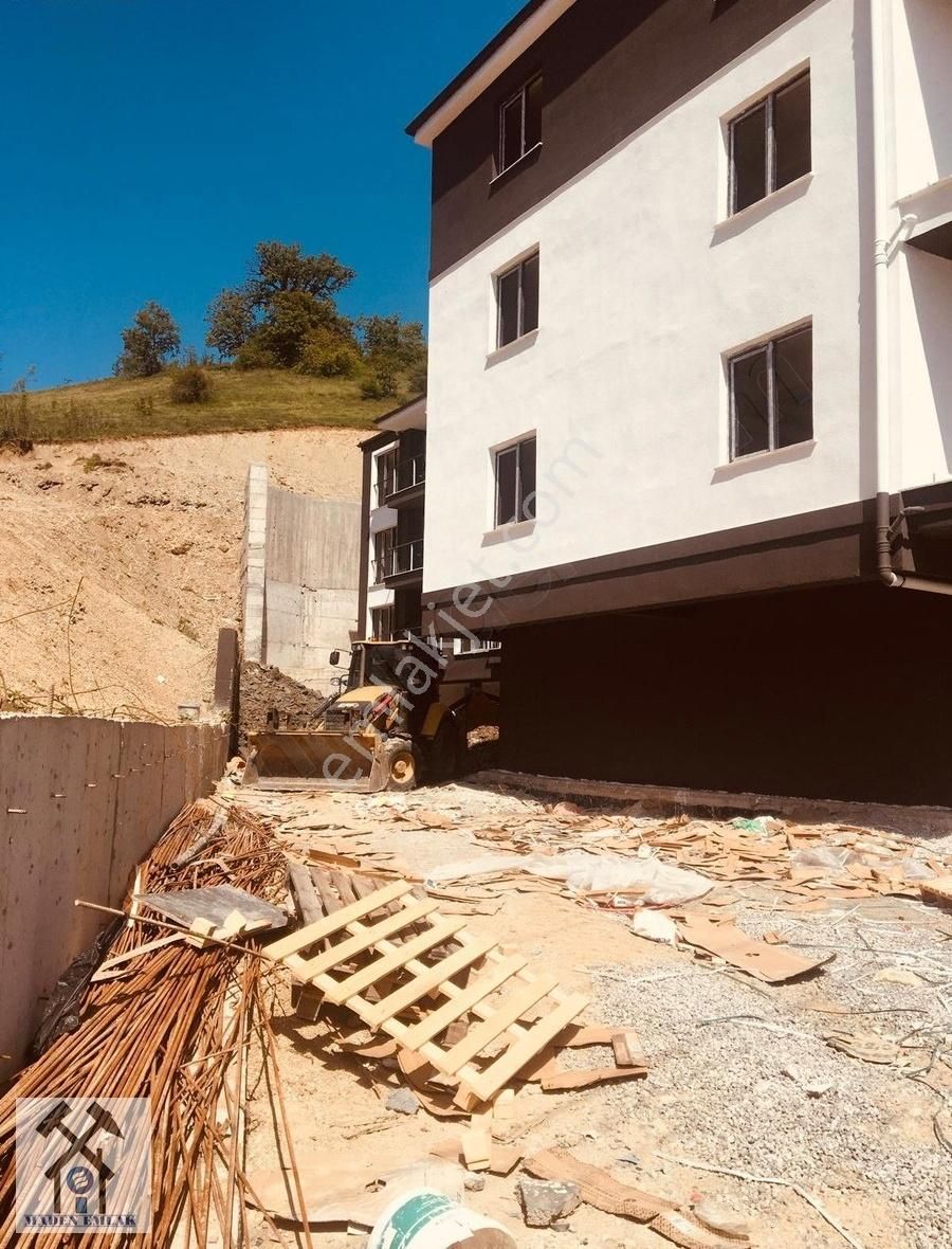Fotoğraf