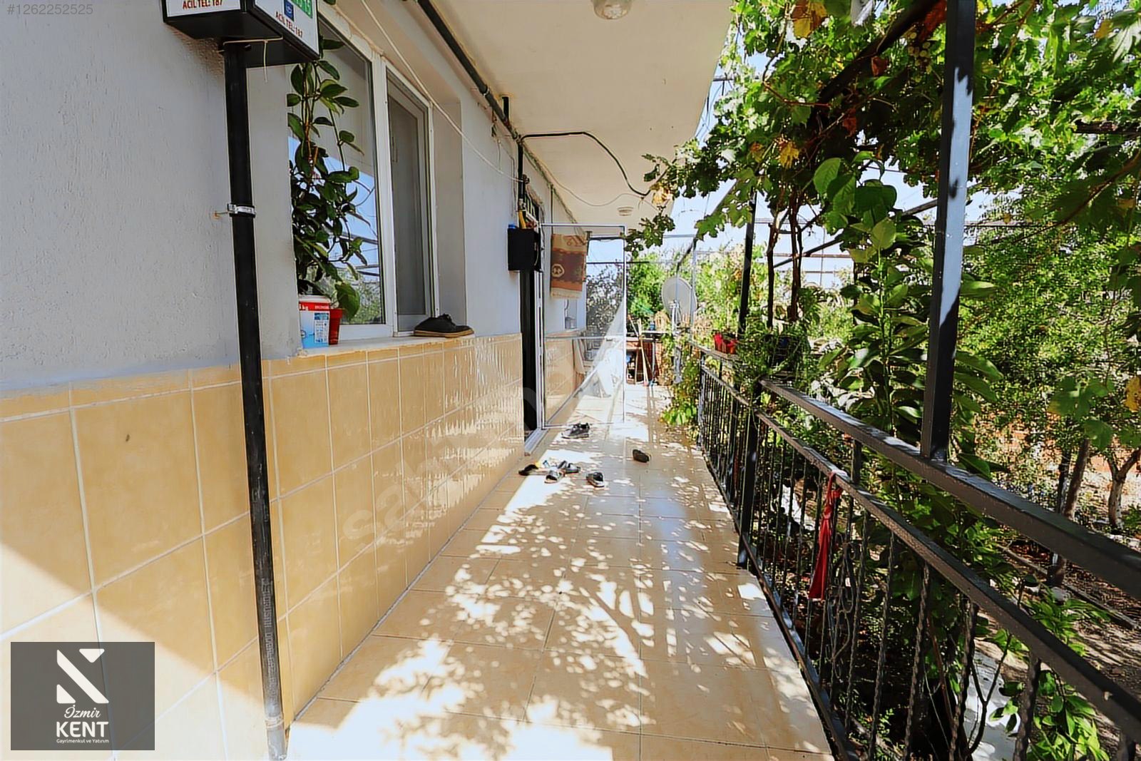 Fotoğraf