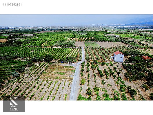 İlan Fotoğrafı