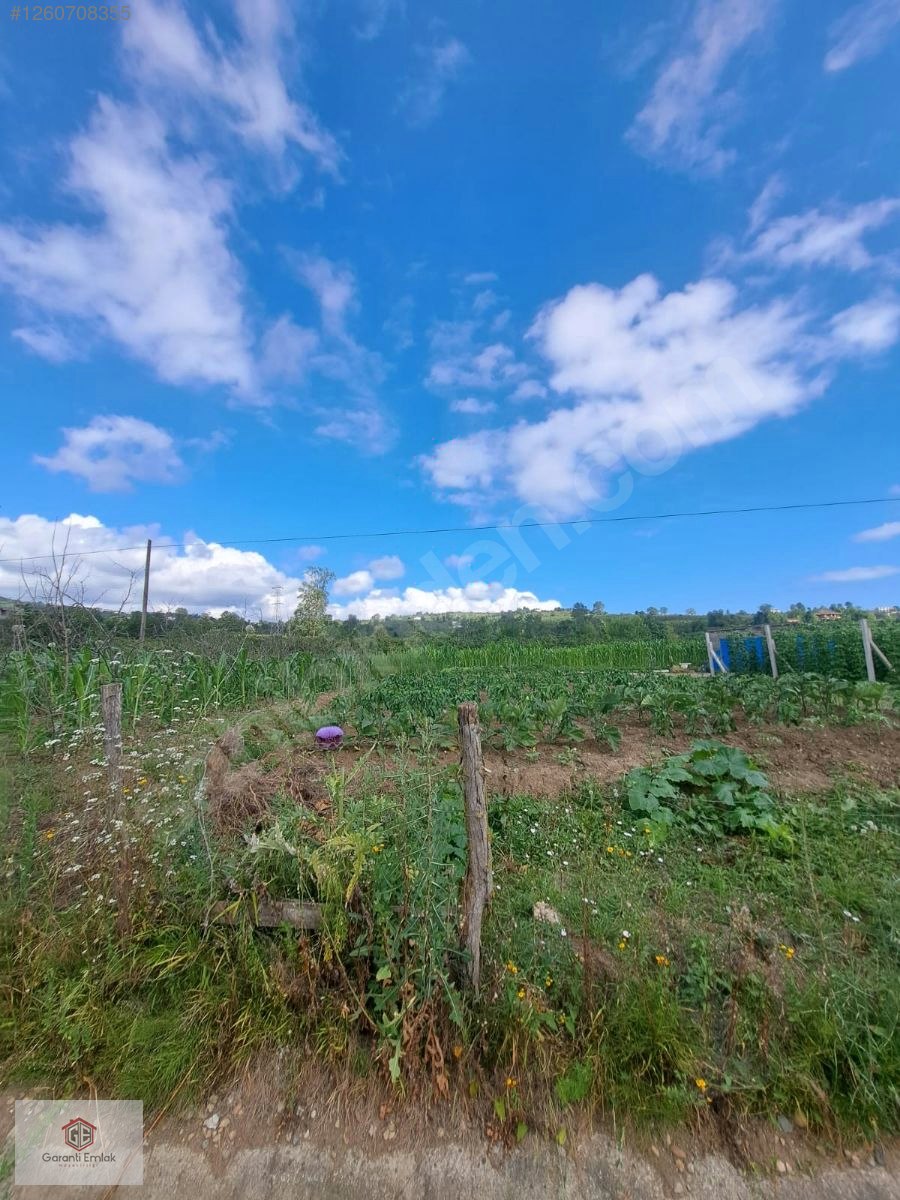EFİRLİDE YOLA SIFIR SATILIK 2 DÖNÜM ARSA