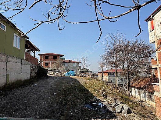Fotoğraf