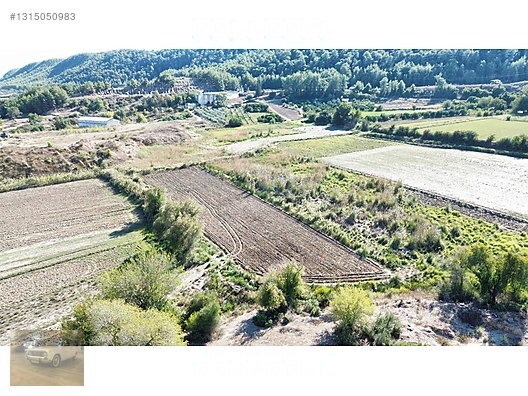 3.199 m² SATILIK SULAK TARLA