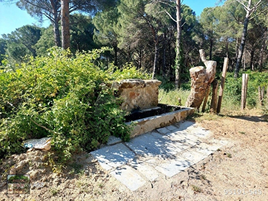 BERGAMA KOZAK YAYLASI YUKARIBEY BAH LESINDE 5550 m2 %5 TARIM İMARLI FISTIKLIK