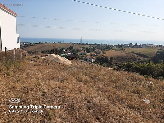 Fotoğraf