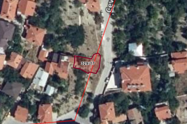 Fotoğraf