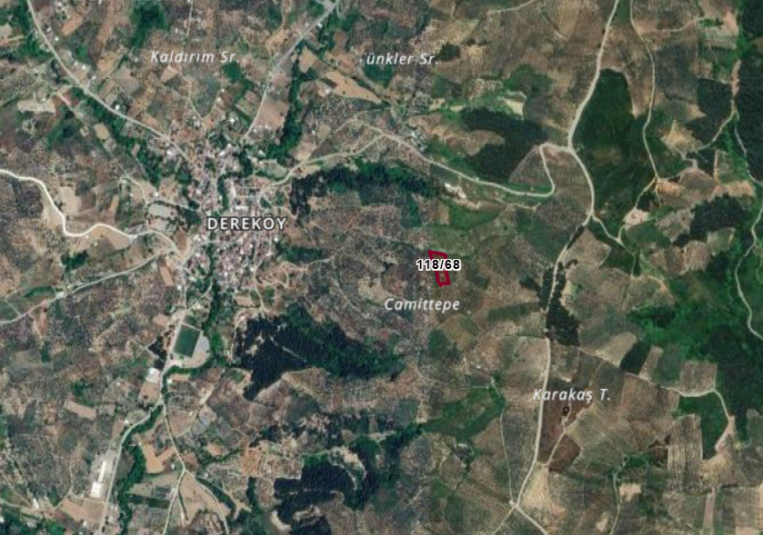 Fotoğraf