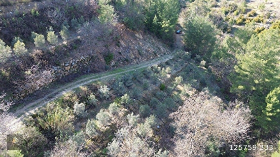 İlan Fotoğrafı