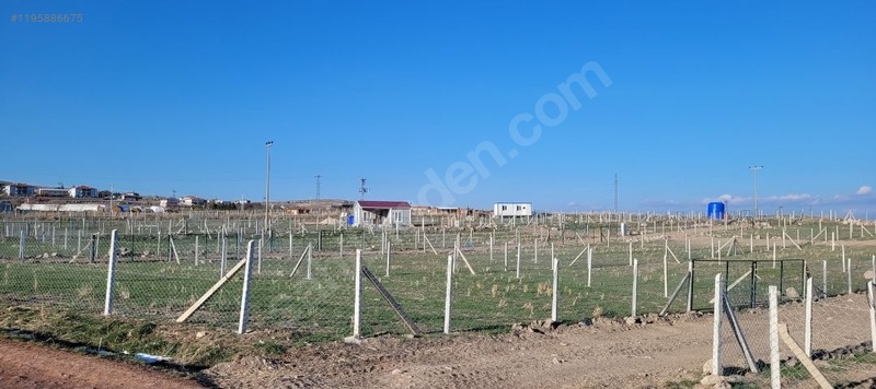 İlan Fotoğrafı