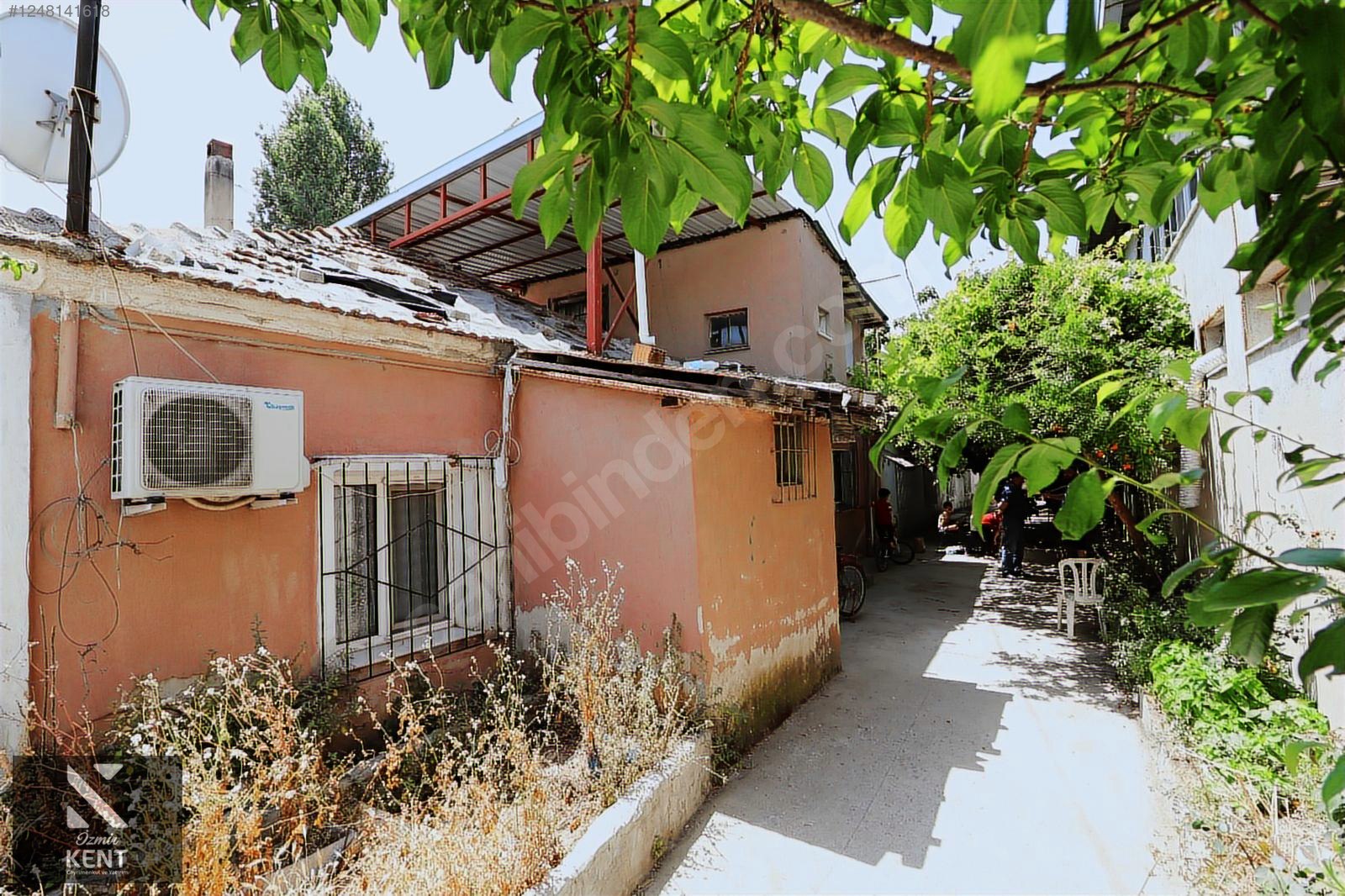 Fotoğraf