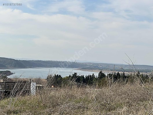 Fotoğraf
