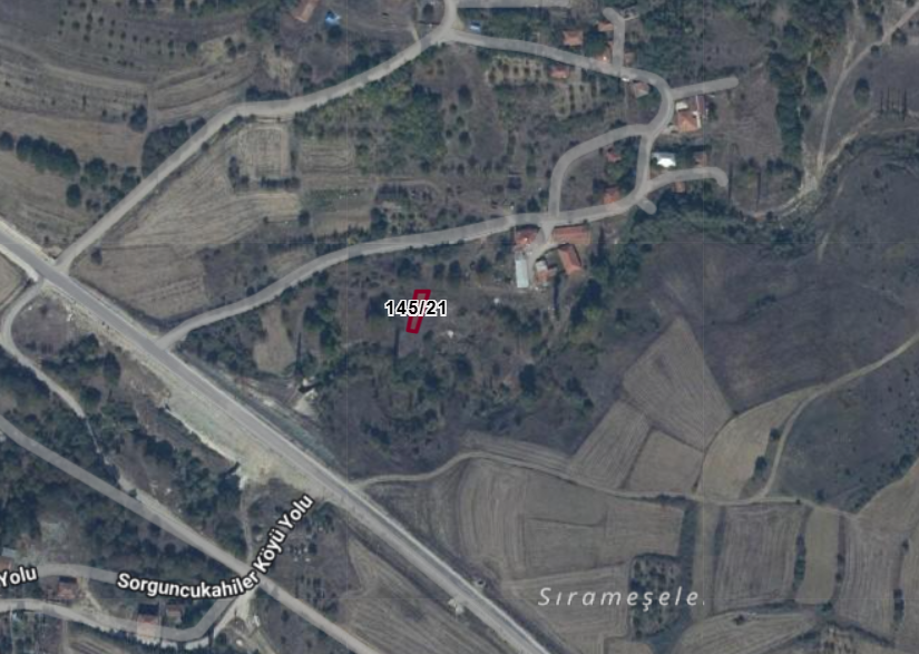 Fotoğraf