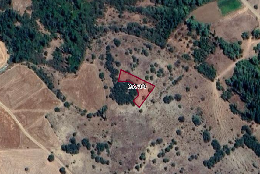 KONYA ÇUMRA ÇİÇEK  KÖYÜNDE 735  M² BAĞ  SATILIKTIR