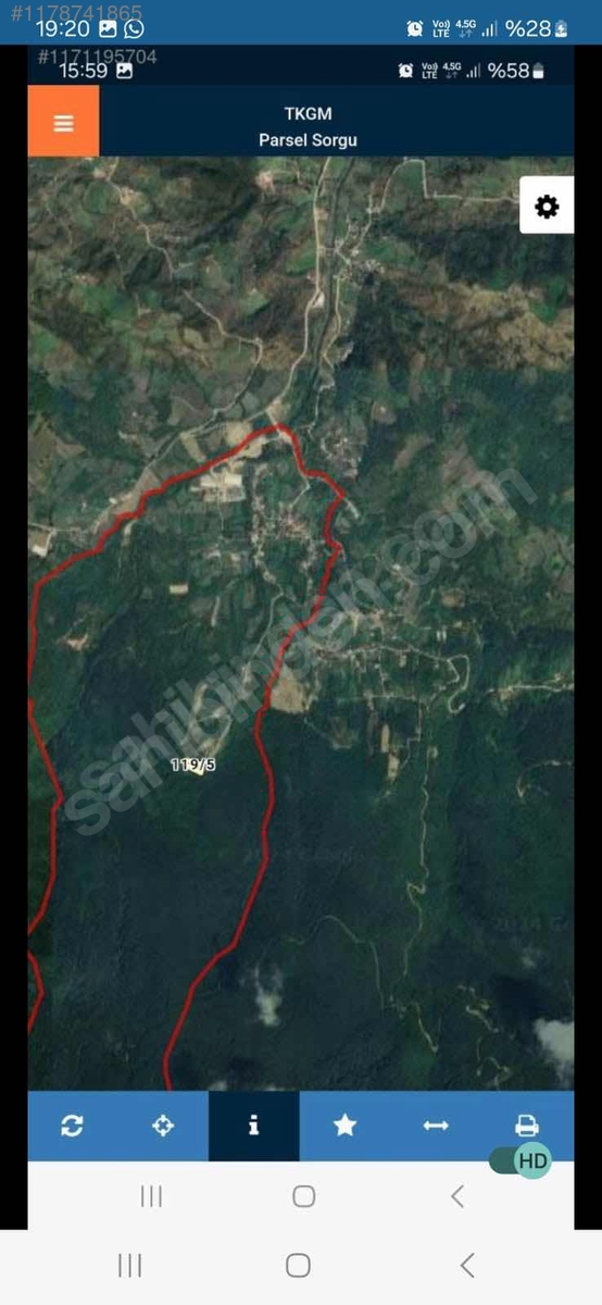 Fotoğraf